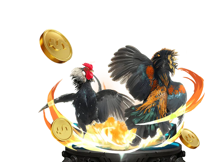 Cá cược đá gà trực tuyến tại ws168